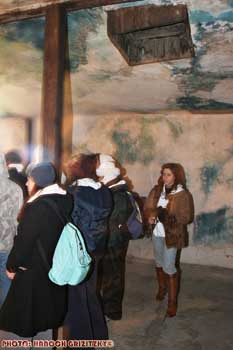 IMG_ (10849)